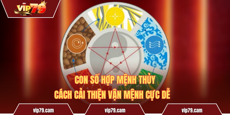 Con số hợp mệnh Thủy - Cách cải thiện vận mệnh cực dễ Con Số Hợp Mệnh Thủy - Cách Cải Thiện Vận Mệnh Cực Dễ
